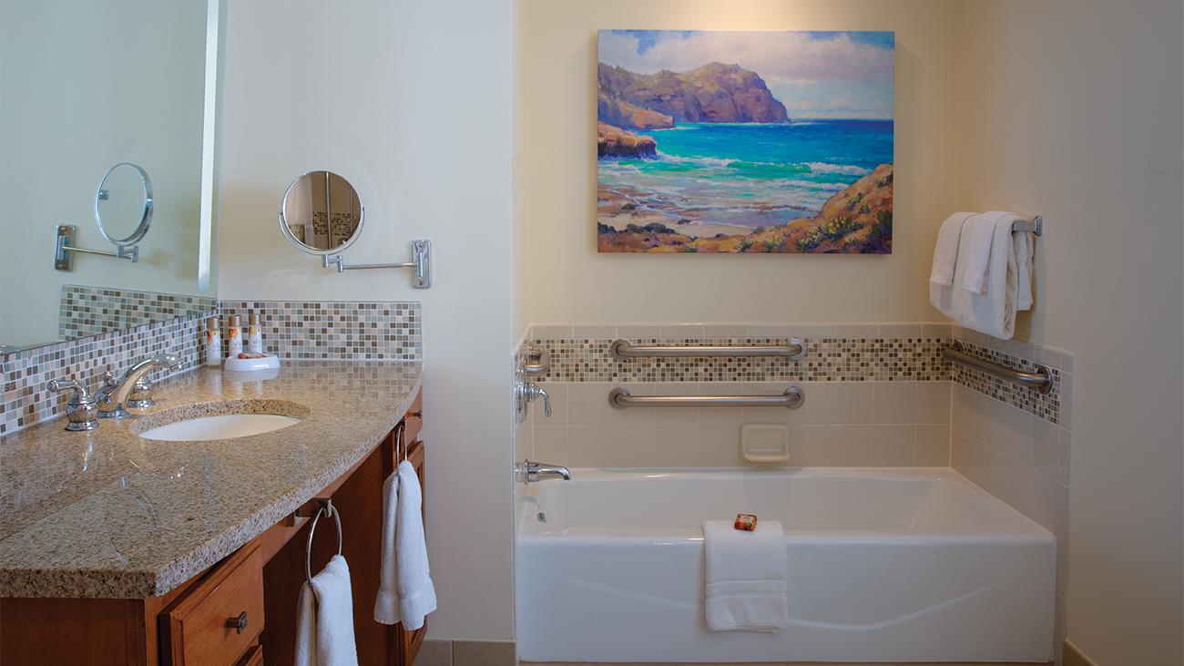 Accessible Guest Bathroom